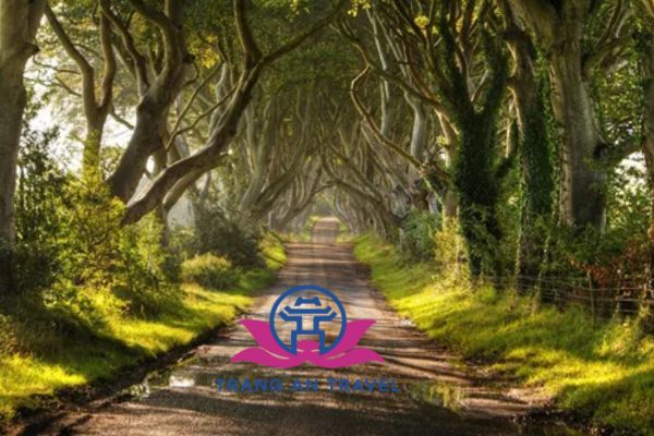 Những xứ sở thần tiên nổi tiếng thế giới