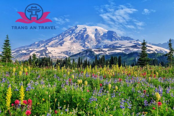 Thưởng ngoạn hương sắc ở 3 vườn hoa xinh đẹp nhất nước Mỹ