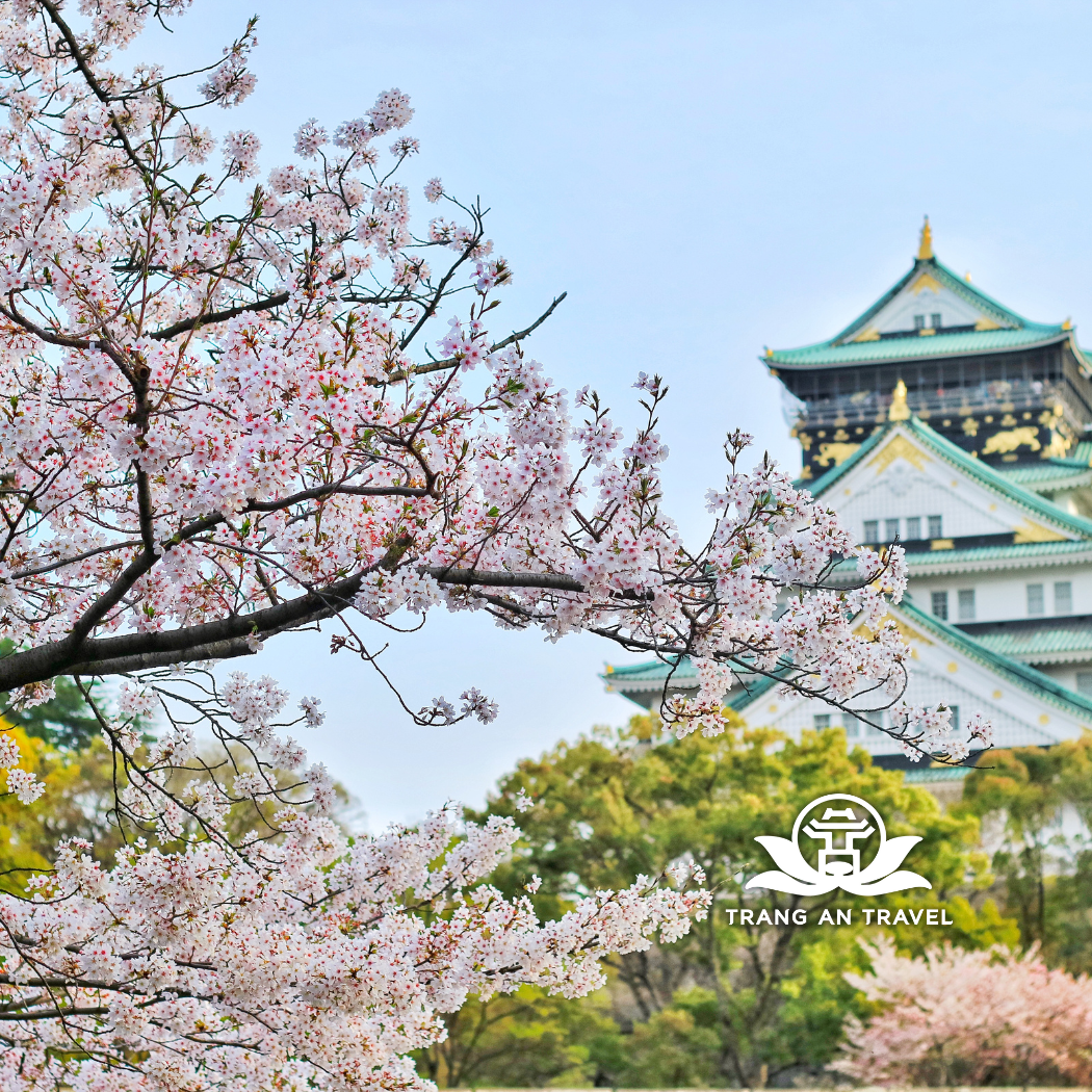 Tour Du Lịch Nhật Bản: Tokyo – Núi Phú Sĩ – Nagoya – Kyoto – Osaka 6 Ngày 5 Đêm Bay Vietjet