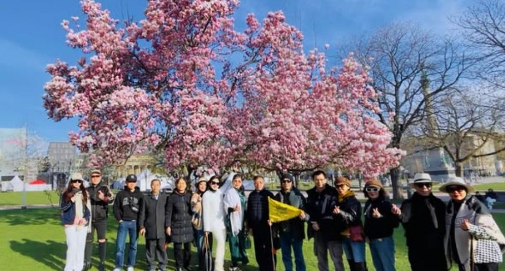 Các đoàn châu Âu tháng 3/2025
