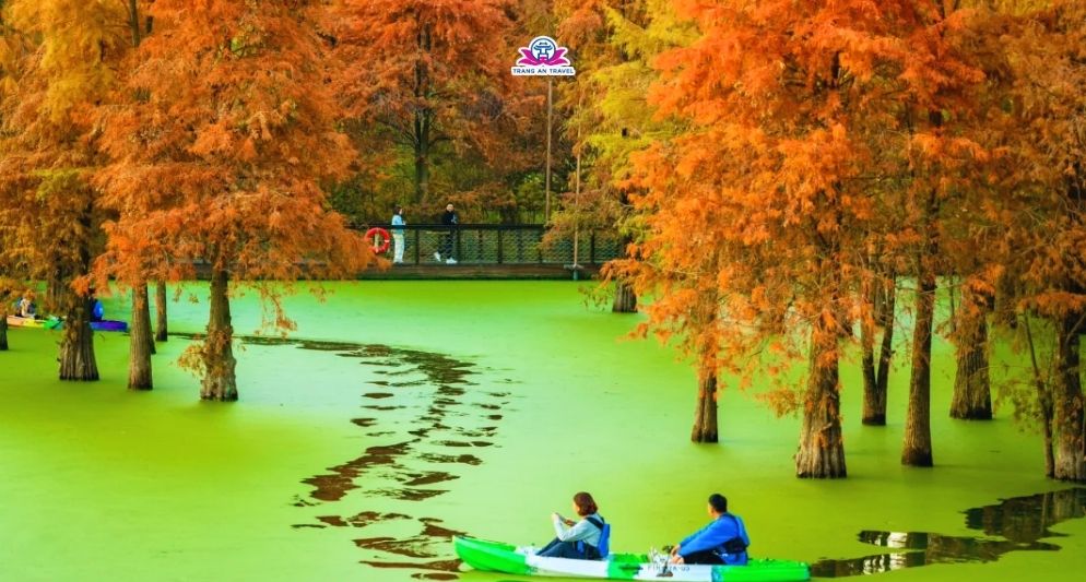 Kinh nghiệm tham quan đầm lầy Thanh Sơn, Hàng Châu từ A – Z