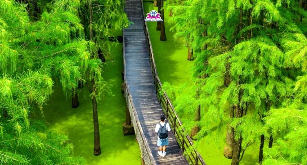 Đầm lầy Thanh Sơn