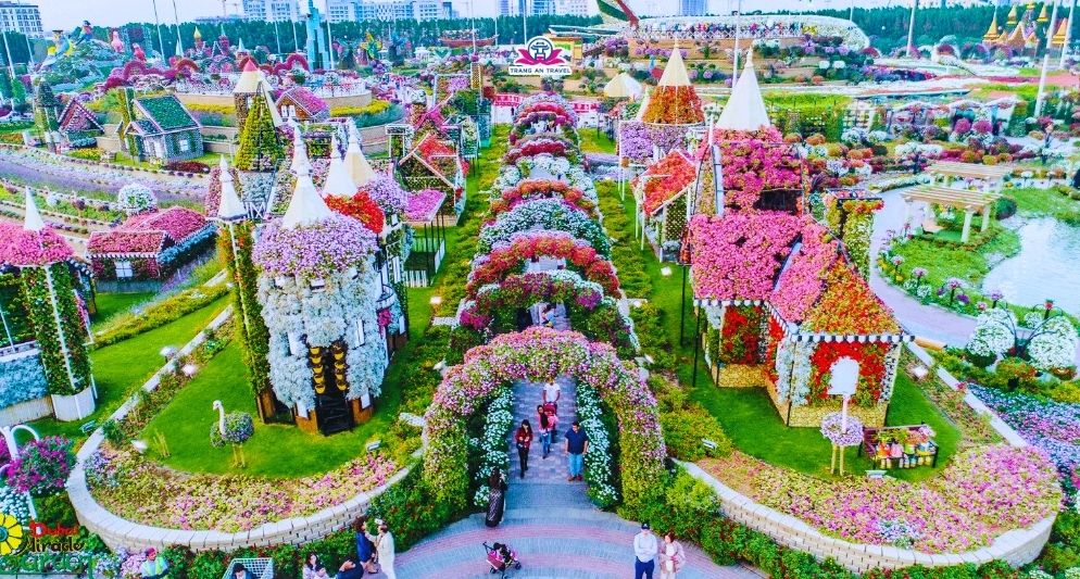 Kinh nghiệm tham quan vườn hoa Miracle từ A - Z