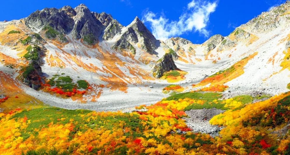 Kinh nghiệm du lịch Ishigaki – Thiên đường bí mật của Nhật Bản