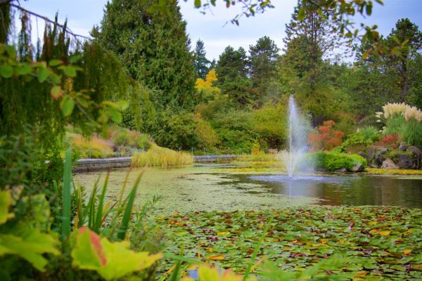 Vườn bách thảo VanDusen