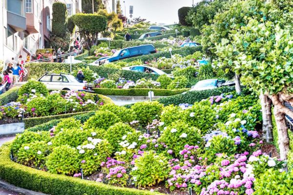 Đường hoa Lombard ở San Francisco