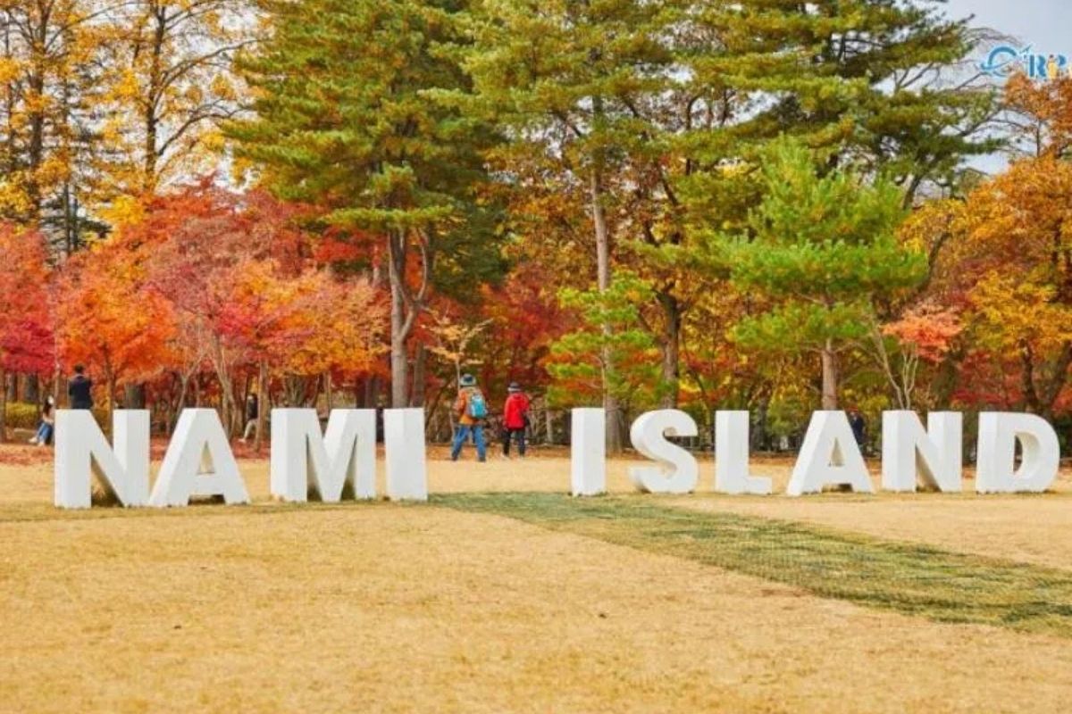 Nami du lịch Hàn Quốc