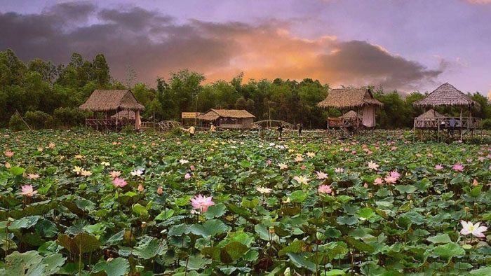 du lịch đồng tháp