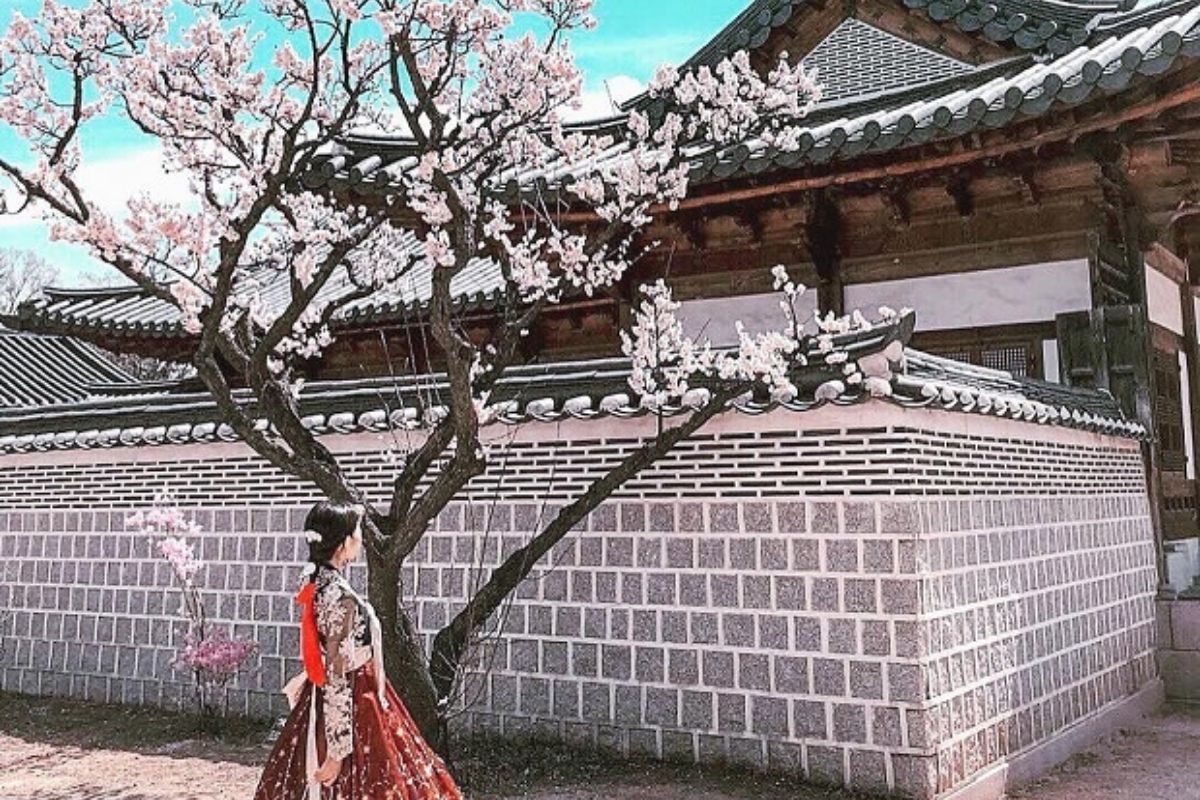 du lịch hàn quốc