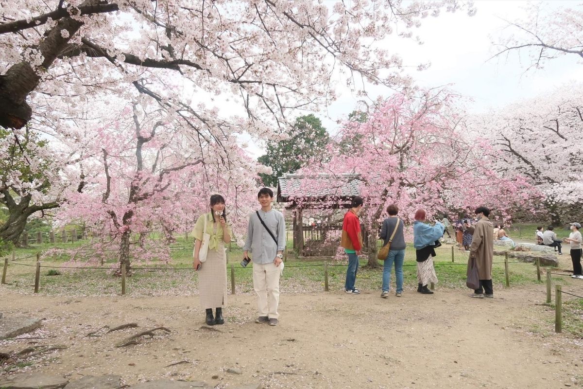 du lịch nhật bản