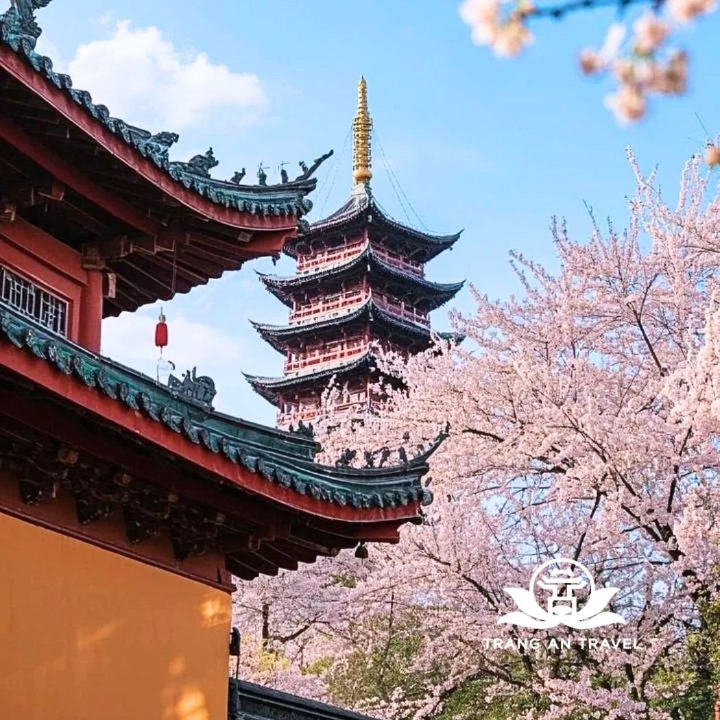 Nam Kinh tháng 3 – Mùa xuân gõ cửa cố đô