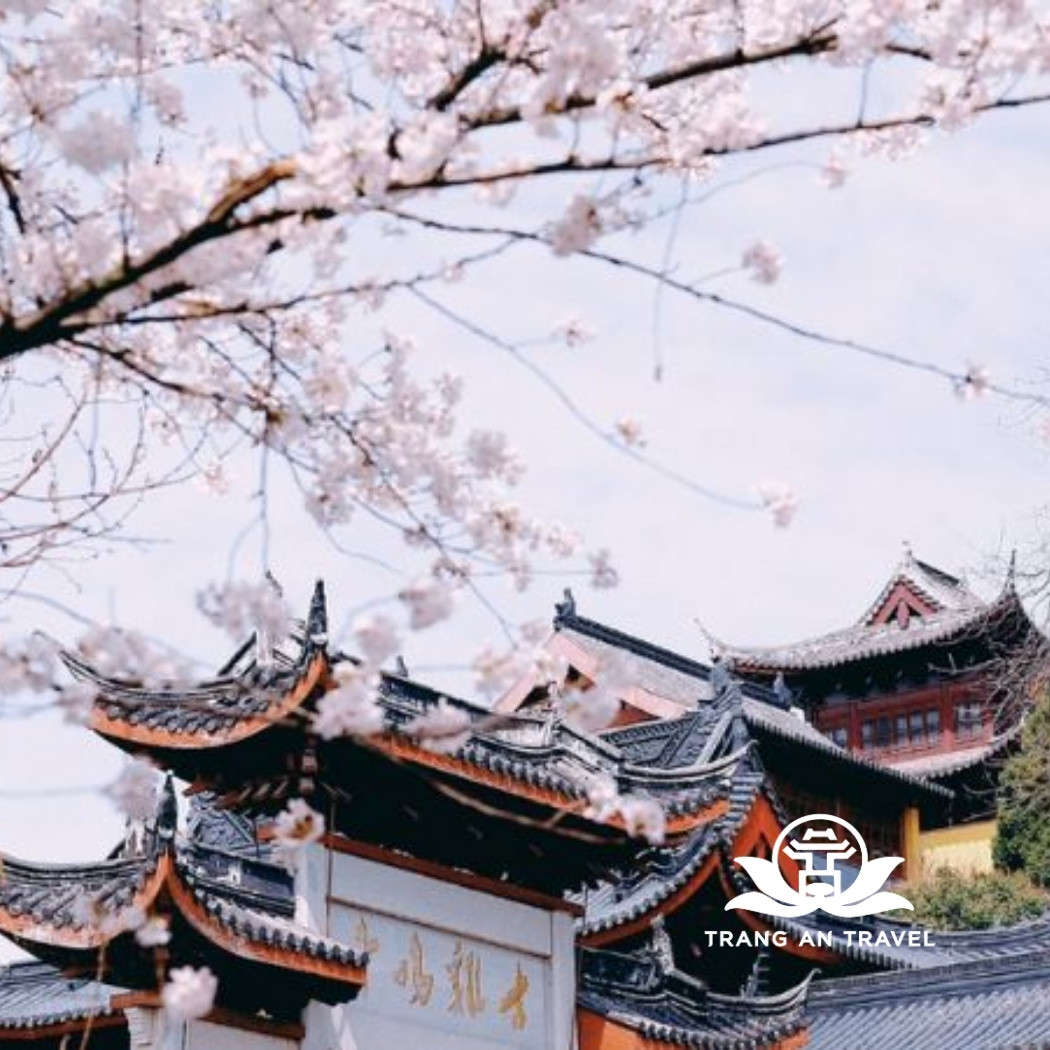 Thời tiết Nam Kinh tháng 4 – Có lạnh không, có nên đi du lịch?