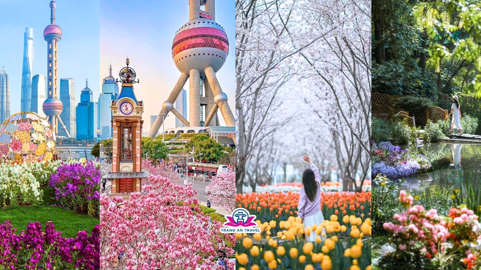 Tour Thượng Hải