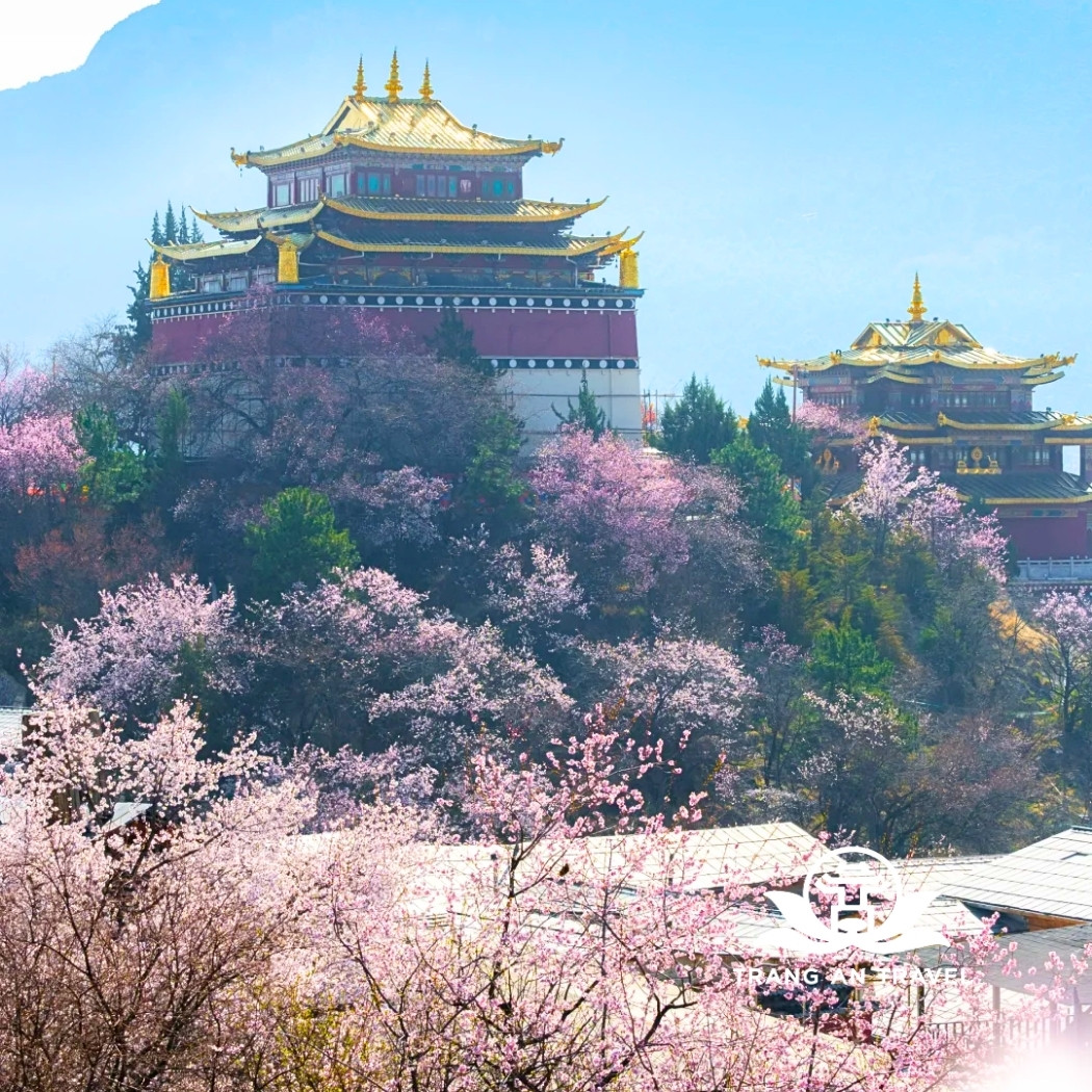 Thời tiết Shangri La tháng 3 – Có lạnh không, có nên đi du lịch?