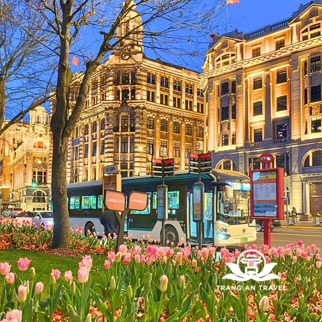 Thời tiết Thượng Hải tháng 3 – Khi thành phố hoa lệ bước vào mùa xuân