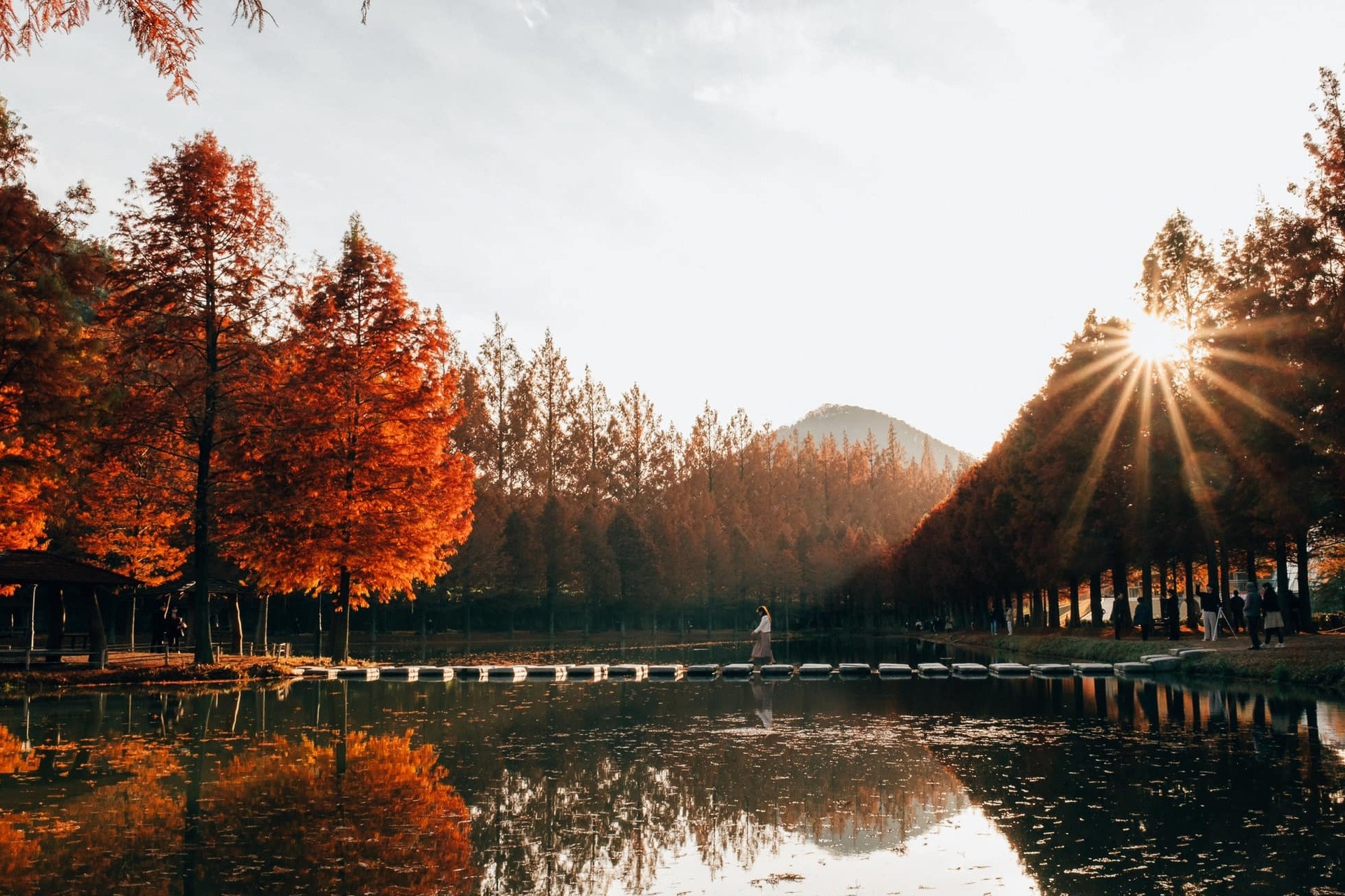 Lịch chi tiết từng ngày 'săn' lá đỏ lá vàng của Trung Quốc, Hàn Quốc và Nhật Bản