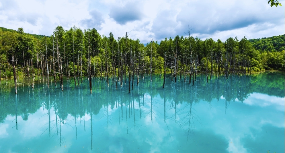 Kinh nghiệm du lịch Biei 2025: Khám phá vùng đồi sóng màu và hồ xanh huyền thoại của Hokkaido