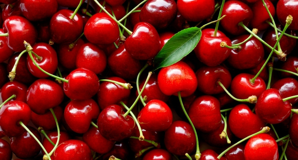 Mùa cherry Thổ Nhĩ Kỳ: Trải nghiệm tuyệt vời mùa hè 2025