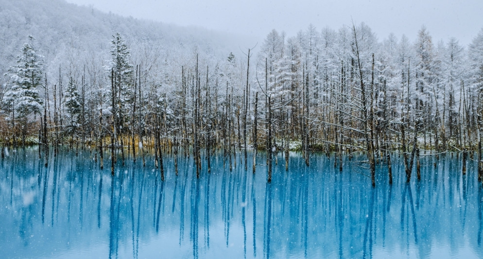 Hokkaido – Miền tuyết trắng và hương vị Nhật Bản khác biệt