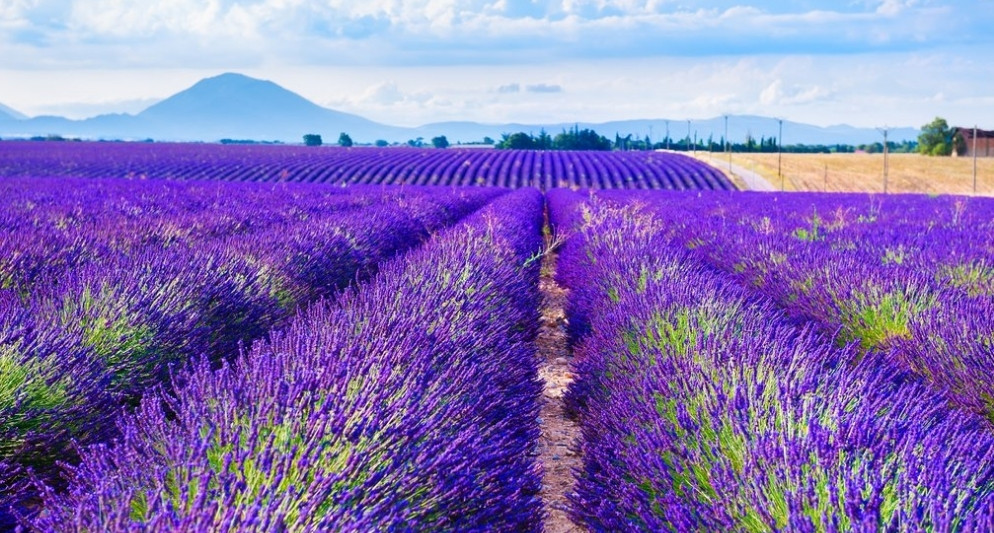 Thời tiết Pháp tháng 7: Có gì đẹp, có gì cần chuẩn bị?