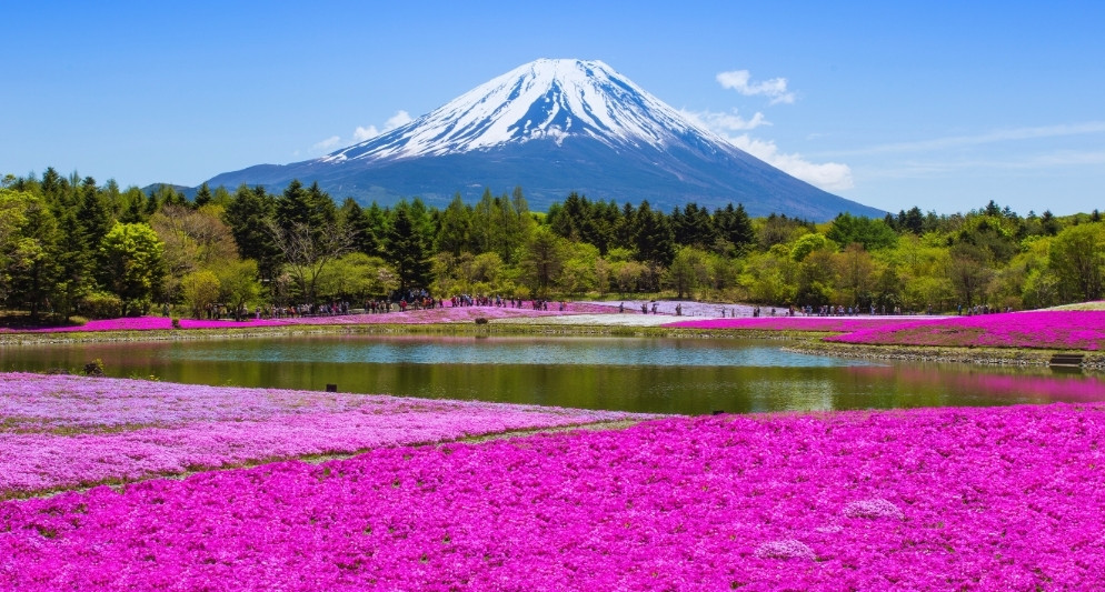 Chinh phục núi Phú Sĩ, điểm đến đáng ngưỡng vọng trong tour Nhật Bản 2025