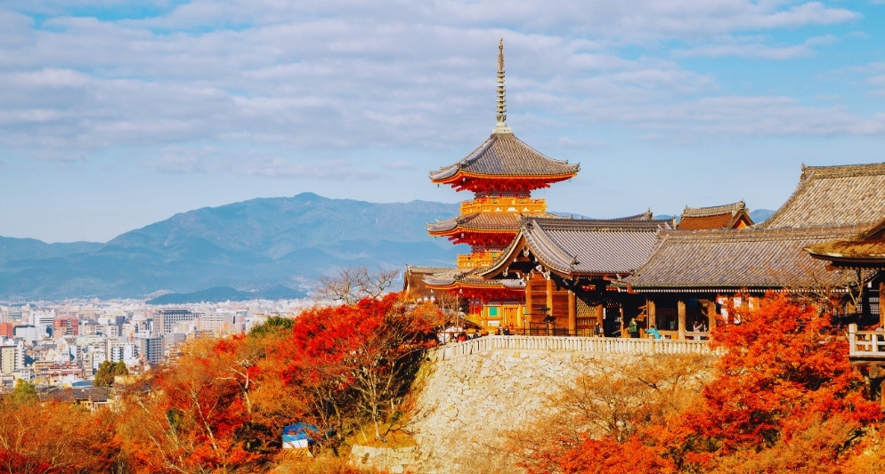 Mùa Thu Nhật Bản – Khi Kyoto Rực Lửa Lá Phong Trong Tour Nhật Bản Tràng An Travel