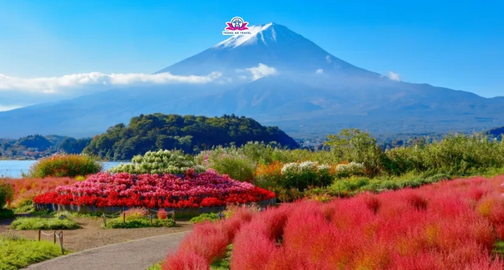 Đắm say lãng mạn trong hành trình Nhật Bản cho các cặp đôi hè năm nay