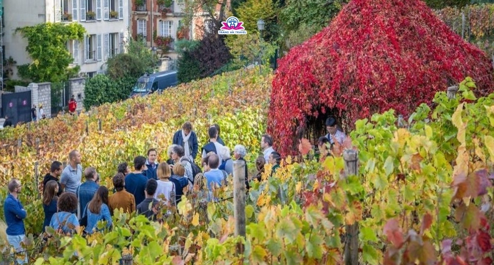 Theo bước những lễ hội mùa thu đặc sắc tại châu Âu