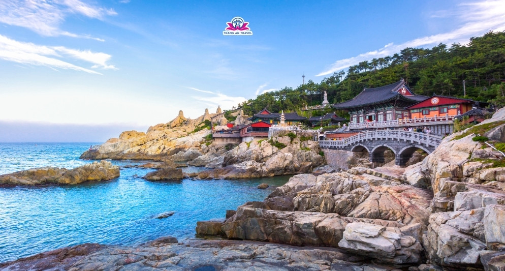 Tour Hàn Quốc Busan 2025 – Hành trình khám phá Busan, Seoul và đảo Nami mùa thu 6 ngày 5 đêm