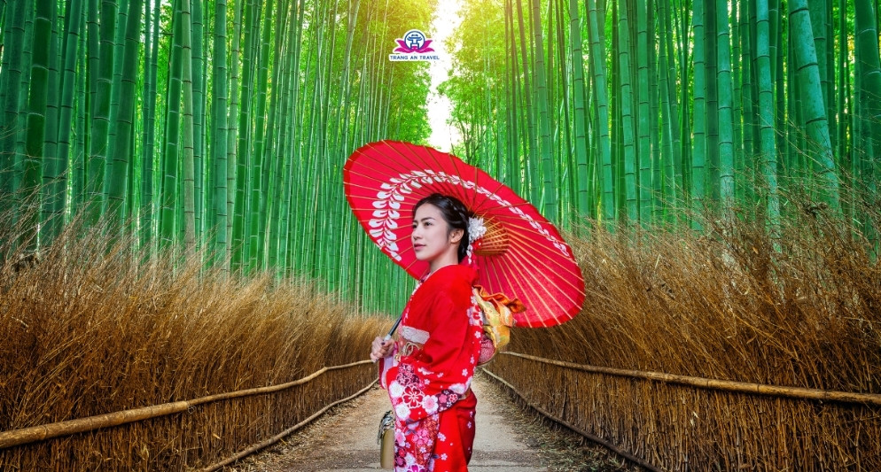 Tour Nhật với người đi lần đầu