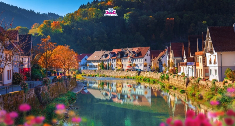 Top những khu rừng đẹp nhất châu Âu vào mùa thu