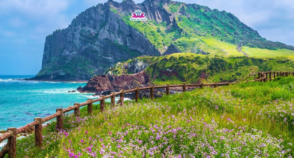 Kinh nghiệm du lịch đảo Jeju – Hành trình khám phá viên ngọc xanh Hàn Quốc
