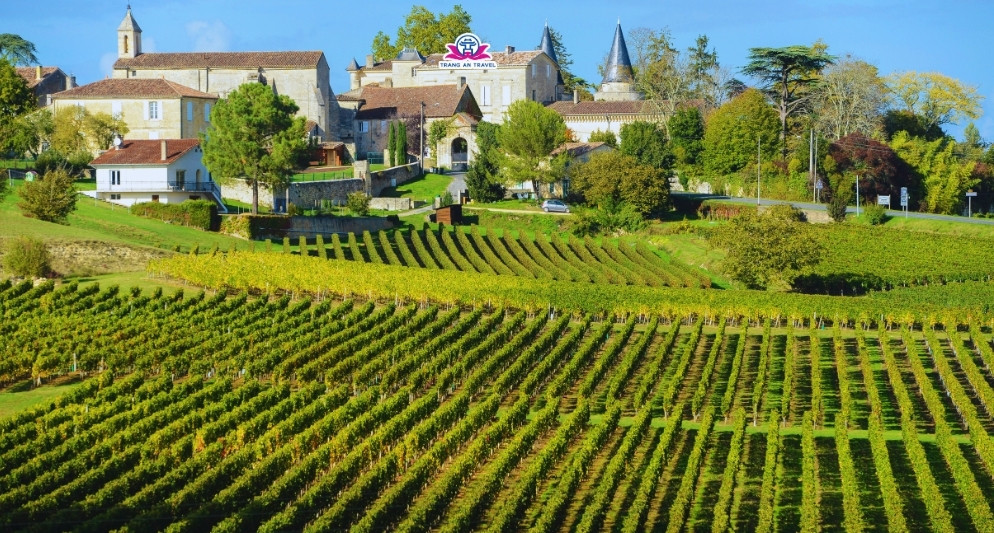 Tour châu Âu trải nghiệm thu hoạch nho, thử rượu vang