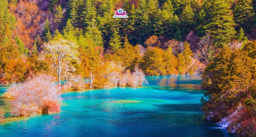 Cửu Trại Câu tháng mấy đẹp? Gợi ý thời điểm lý tưởng nhất cho chuyến đi trọn vẹn