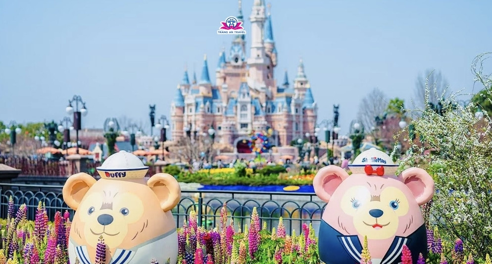 Tour nào đi Disneyland Thượng Hải tốt nhất?
