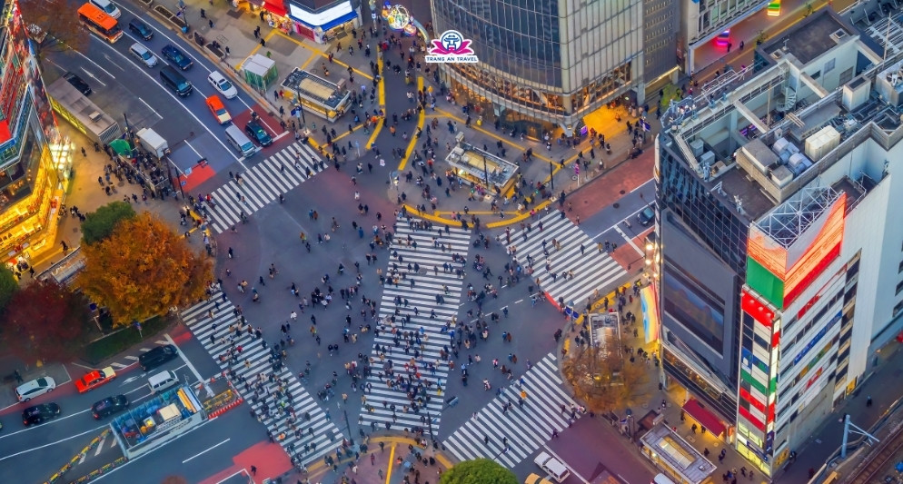 Nên chọn tour Nhật Bản 6N5Đ Cung Đường Vàng hay tour Tokyo 5N4Đ thảnh thơi? So sánh chi tiết hai hành trình nổi bật 2025