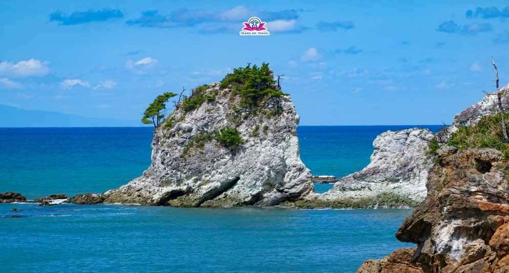 Cẩm nang du lịch Niigata – Điểm đến 4 mùa độc đáo bên bờ biển Nhật Bản