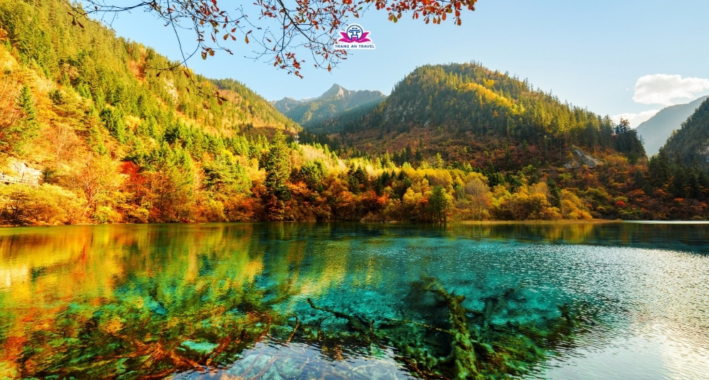 Tour Cửu Trại Câu mùa thu 2025 đáng lựa chọn nhất?