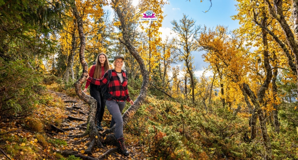 Thời tiết Na Uy tháng 9 – Có nên đi du lịch lúc này?