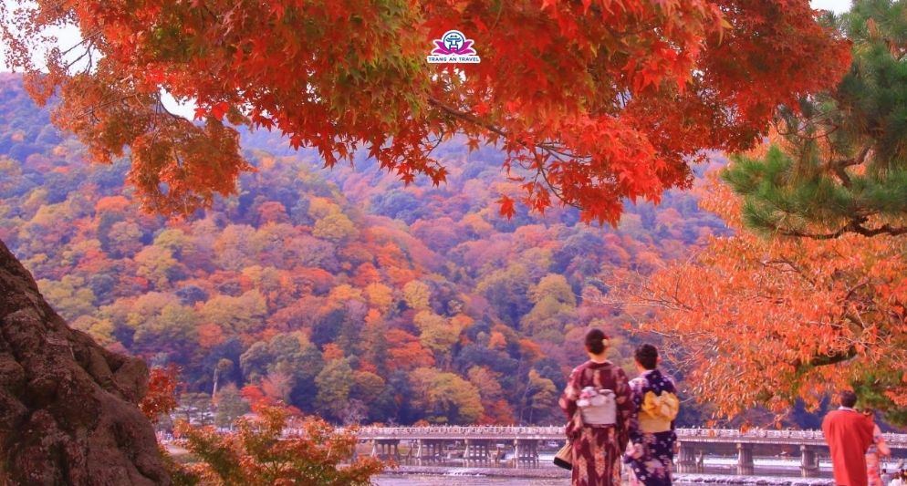 Nên chọn tour Nhật 5N4Đ hay 6N5Đ mùa thu? Gợi ý phù hợp theo ngân sách