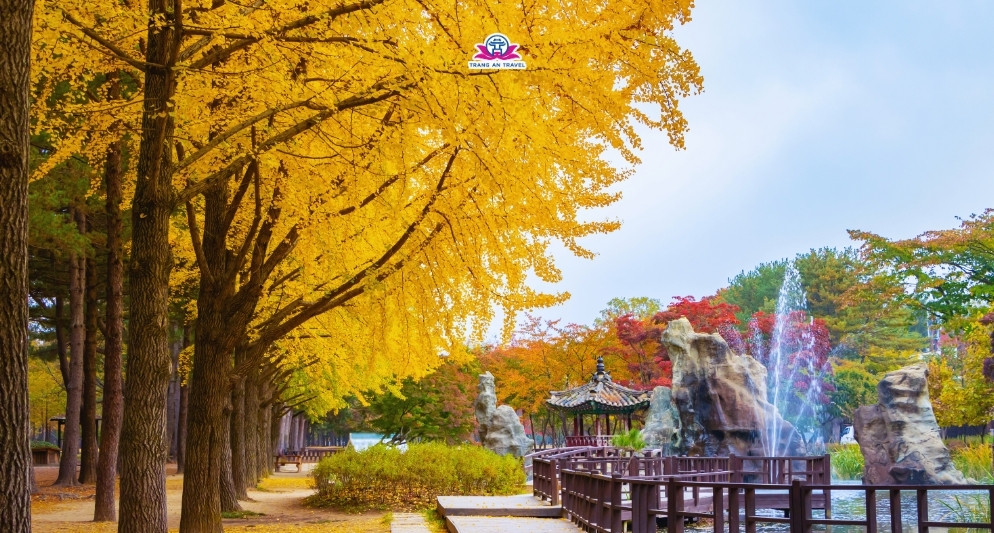 5 điểm ngắm lá vàng lá đỏ đẹp nhất Hàn Quốc mùa thu 2025