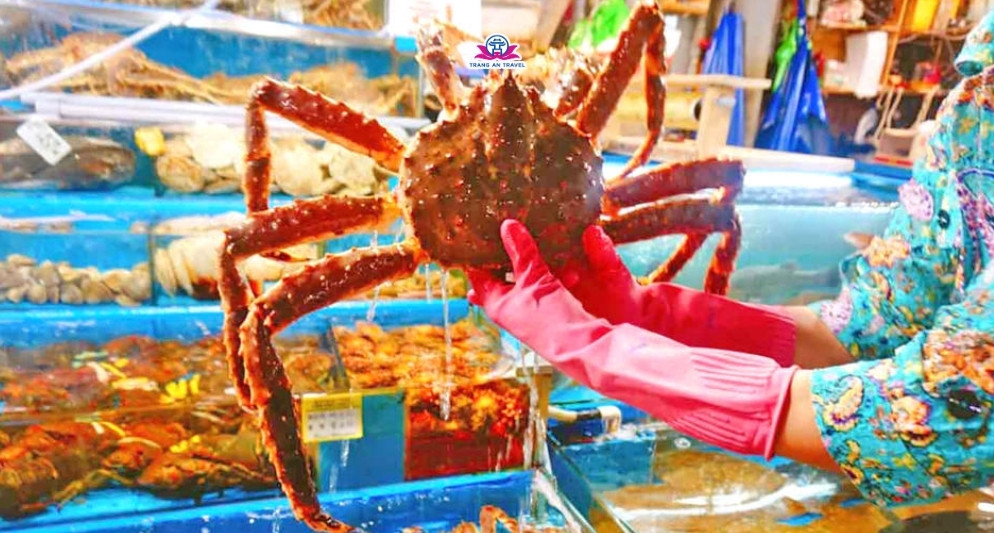 5 khu chợ hải sản đáng trải nghiệm khi du lịch Seoul