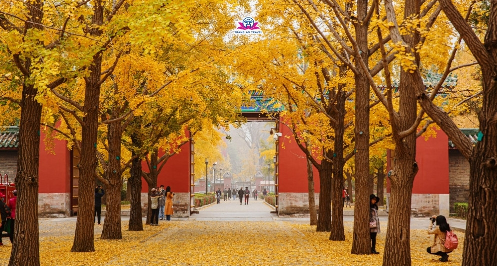 Chùm tour Bắc Kinh – Thượng Hải tháng 10 giá rẻ không nên bỏ lỡ