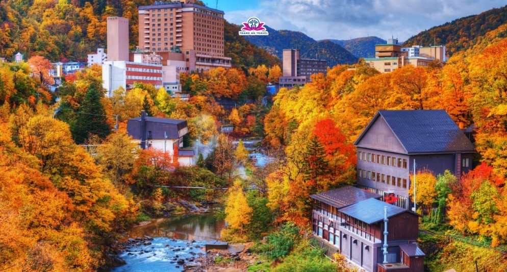 Nên đi tour Nhật nào mùa thu sẽ đẹp nhất? Cung đường vàng, Kyushu, Đông Bắc hay Hokkaido?