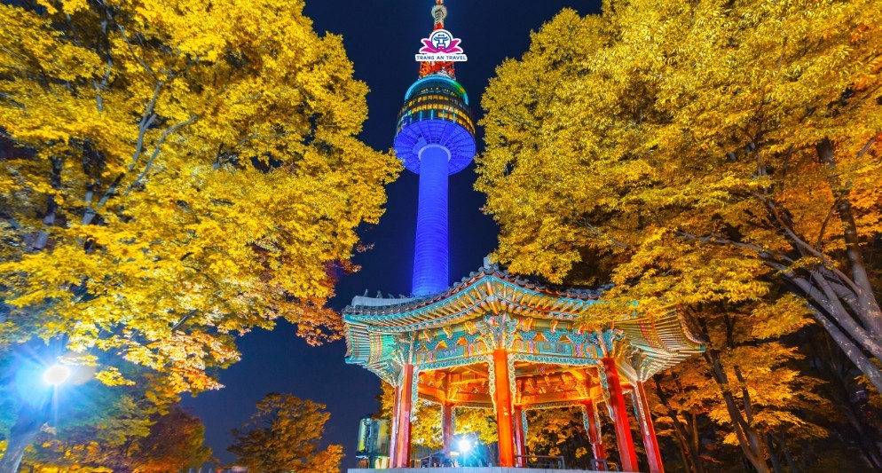 Gợi ý tour Hàn Quốc mùa thu 2025 lý tưởng ngắm lá vàng lá đỏ