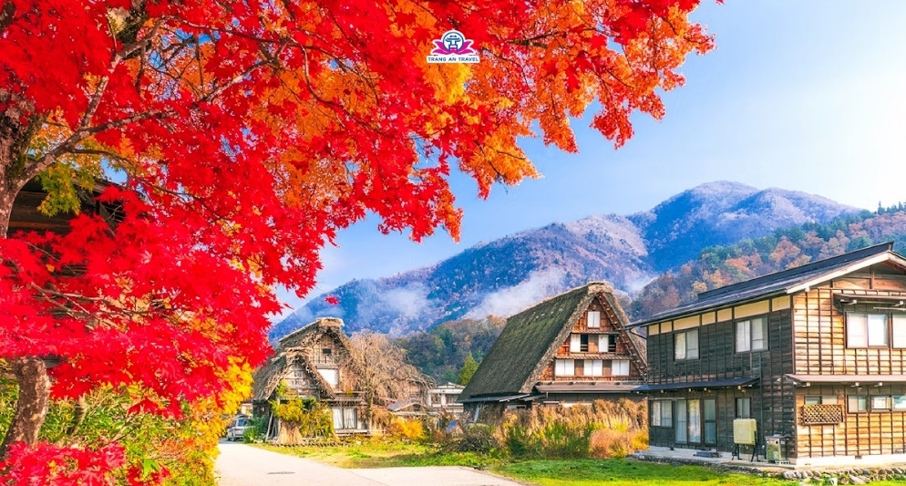 tour Nhật Bản mùa thu
