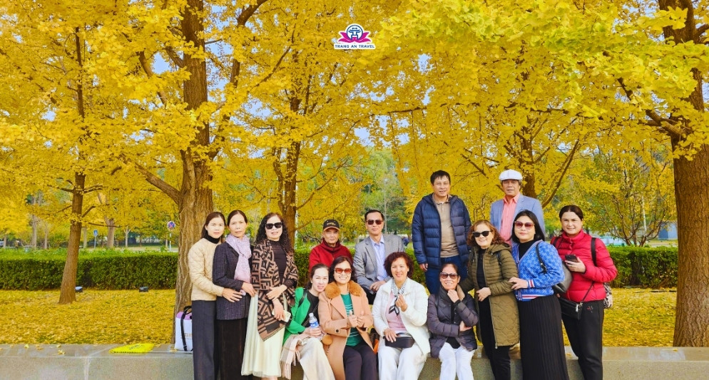 Có nên đi Bắc Kinh vào mùa thu? Gợi ý lịch trình lý tưởng mùa thu Bắc Kinh năm 2025