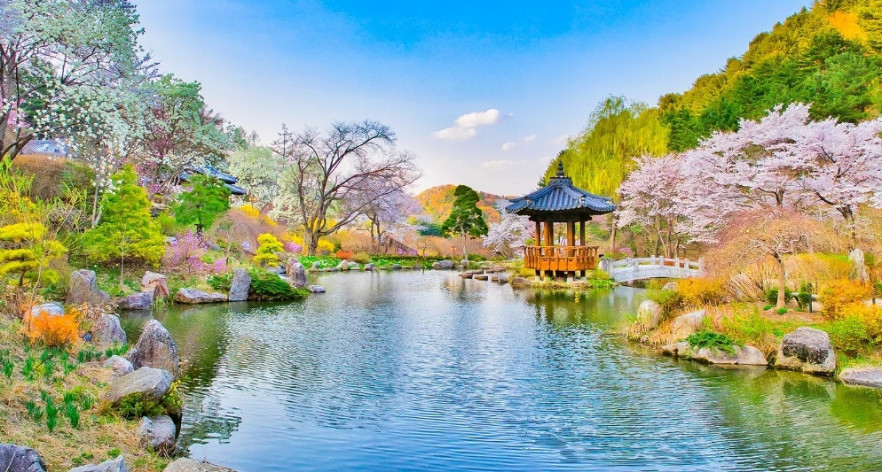 Vườn Morning Calm