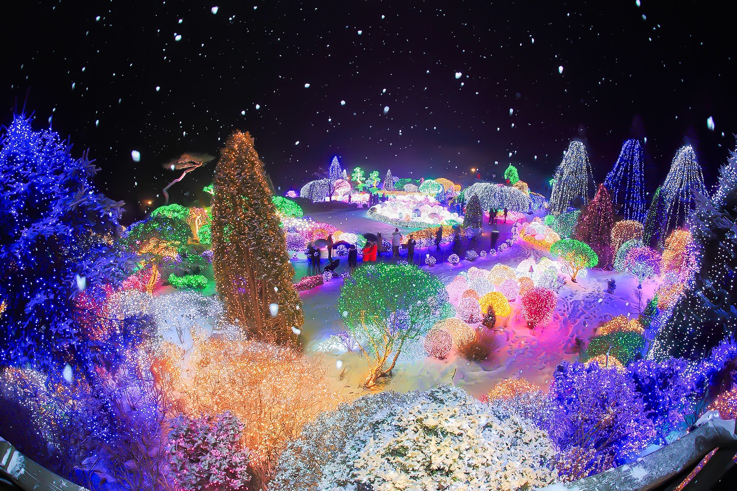 Dịp Valentine, ghé ngay các điểm đến lãng mạn ở Hàn Quốc