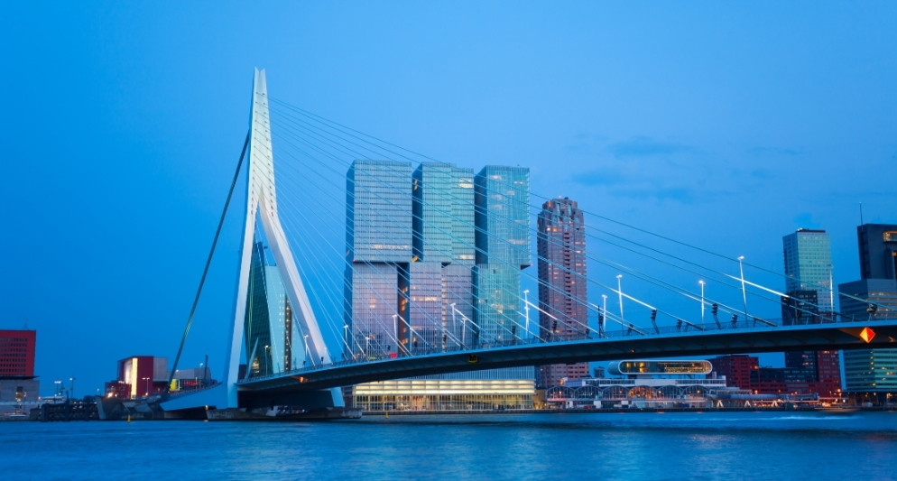 Cầu Erasmusbrug